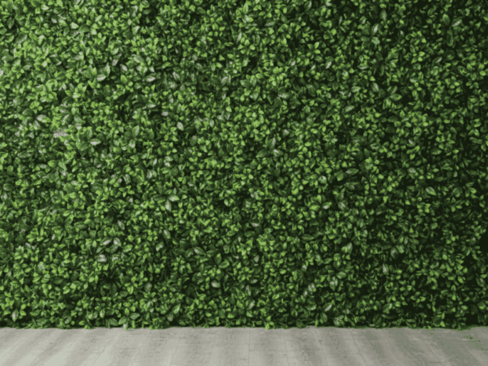 Jardim vertical artificial barato