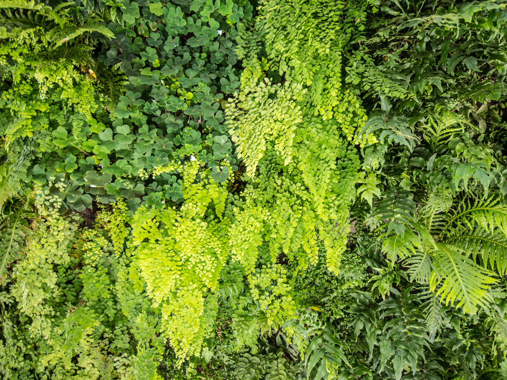 Jardim vertical na varanda