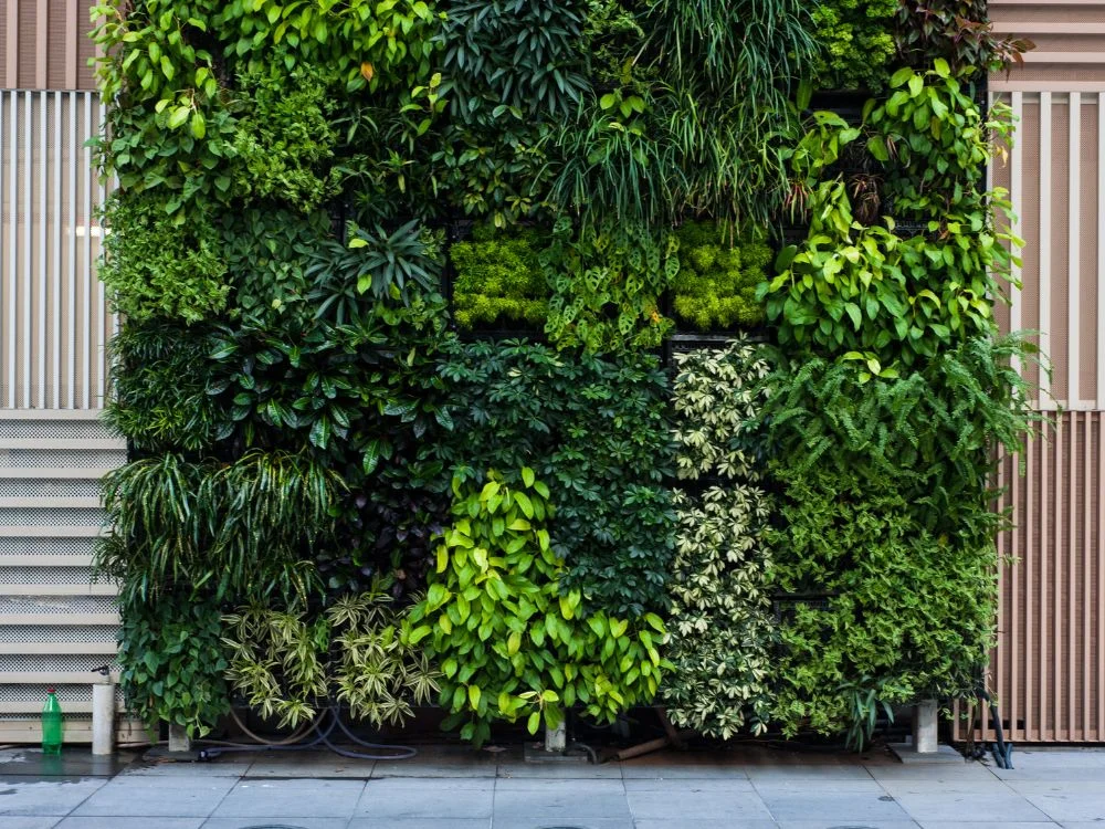 jardim vertical pequeno