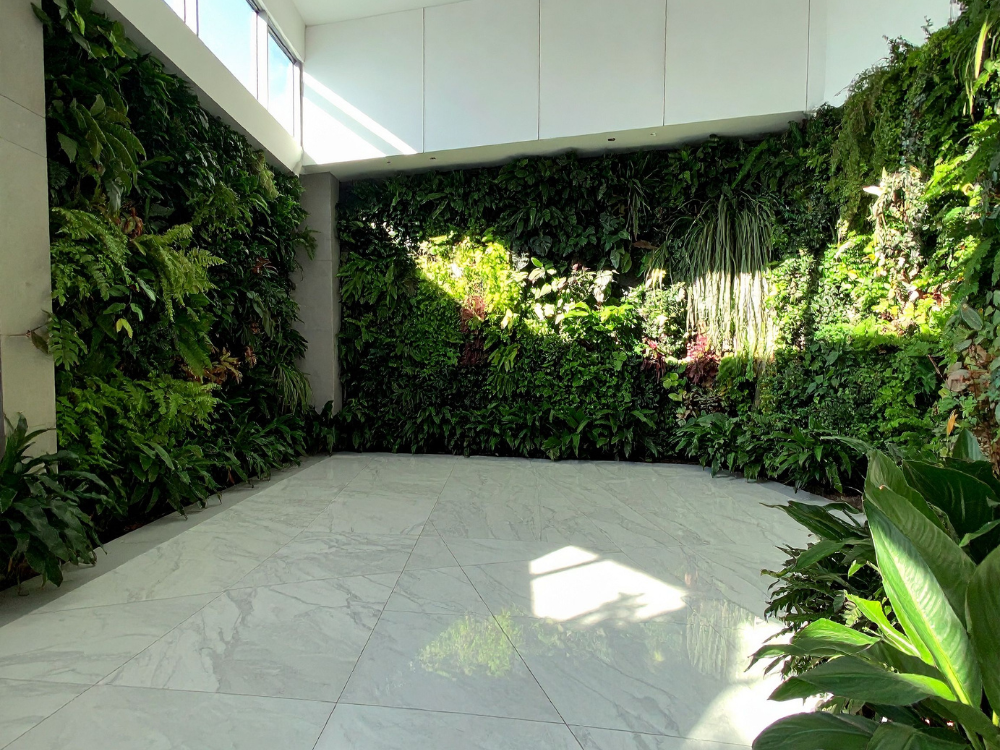 como fazer jardim vertical barato