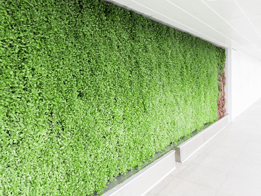 Jardim vertical na varanda