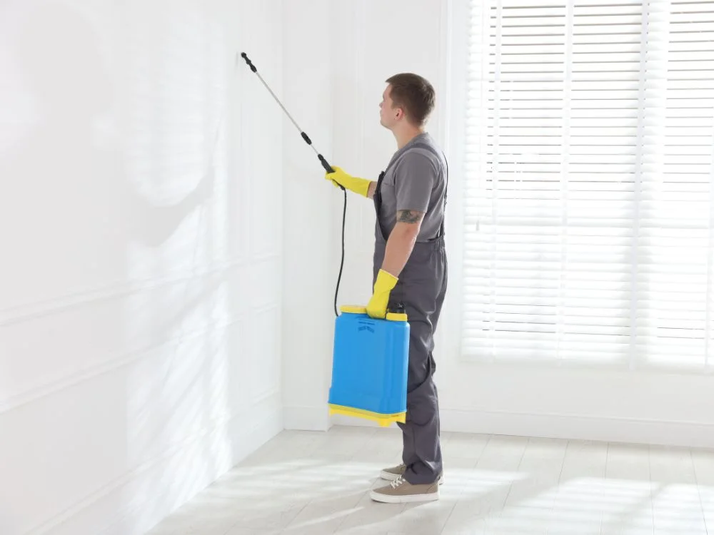 jardim vertical pequeno