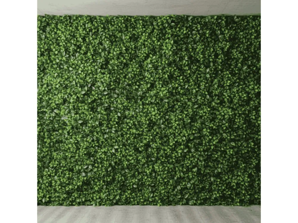 Ideias de jardim vertical barato