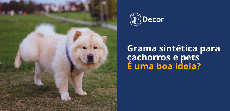 grama sintética para cachorros e pets